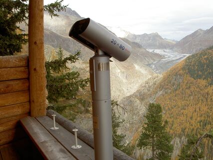 Wildbeobachtungsposten