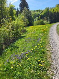 Fotografie z BergfexxMaxx na trase