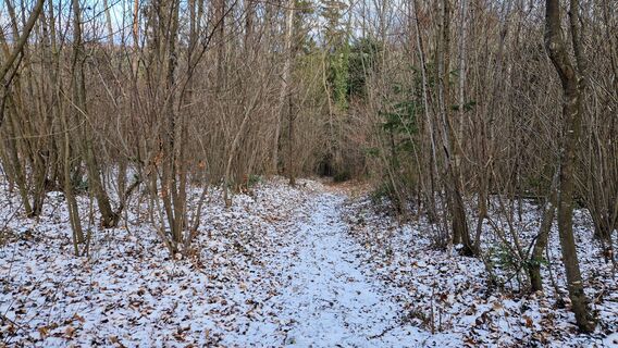 Photo de EP87 le long du parcours