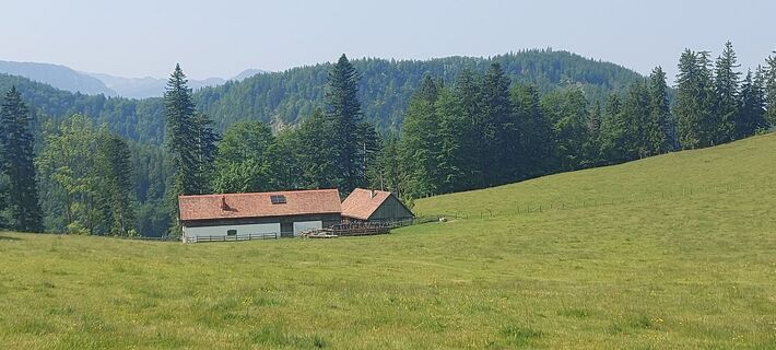 Foto van Klaus Gruber 3 langs de tour