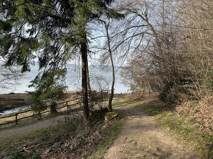 Foto de Nadia Helfenstein a lo largo del recorrido