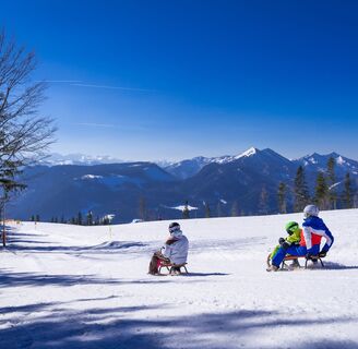 Rodeln auf der Mariazeller Bürgeralpe