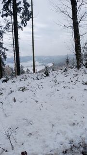 Fotografia z Pur Alexander na trase