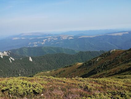 Foto de Tasurinki Mitote a lo largo del recorrido