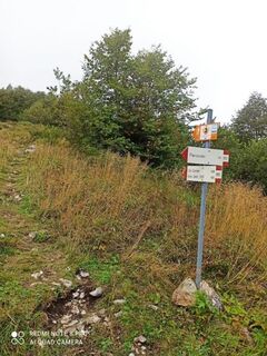 Forcella Sauc