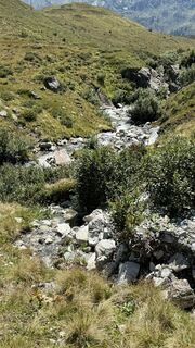 Foto von Florian Meyer 1 entlang der Tour