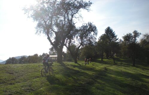 Pötschenrunde - Zufahrt Taßler/Loidl