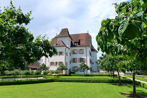Schloss Aesch.