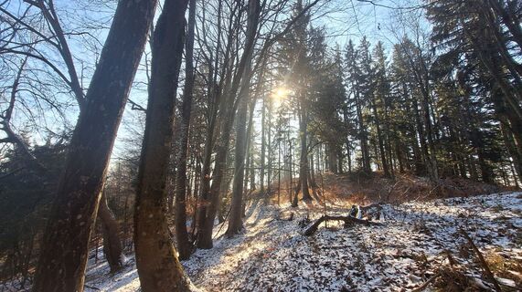 Foto von Regina Fleischmann entlang der Tour
