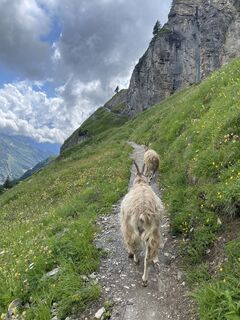 Foto fra Martin Reinhard undervejs på turen