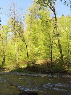 Foto von Laifernorbert entlang der Tour