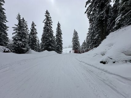 Photo de simonende le long du parcours