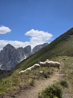 Foto von Veljko4 entlang der Tour