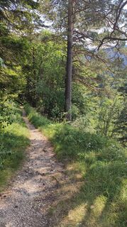 Foto von Adi Lechner entlang der Tour