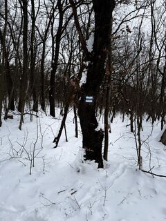Fotografia z Eszter Csapó na trase