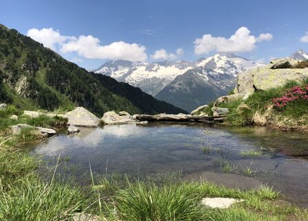 Foto von “Jerry” Brunetti entlang der Tour