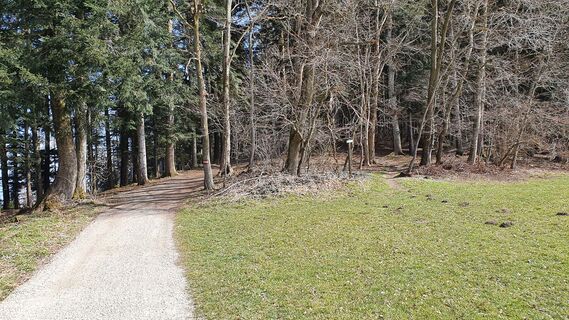 0.8 km Kinder MTB-Stecke
