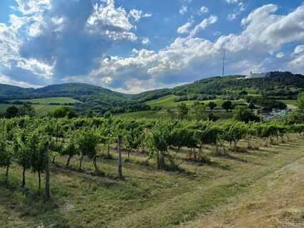 Foto da Tom Theuer lungo il tour