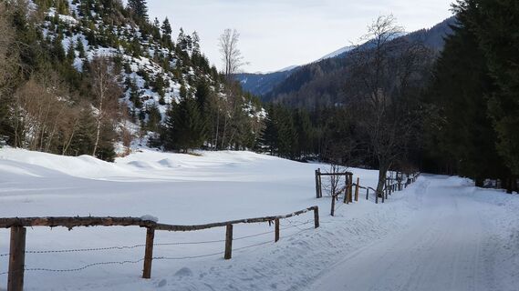 0.4 km Wiese