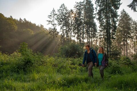 Unterwegs auf dem Wanderweg am frühen Morgen