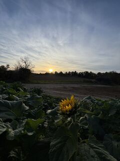 Fotografia z RS76 na trase