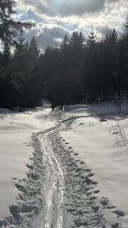 Foto de Peter Grillmaier a lo largo del recorrido