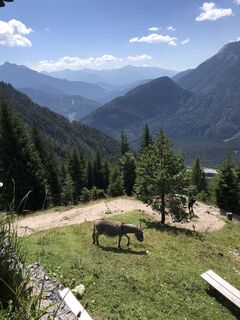 Foto von Heikoala entlang der Tour