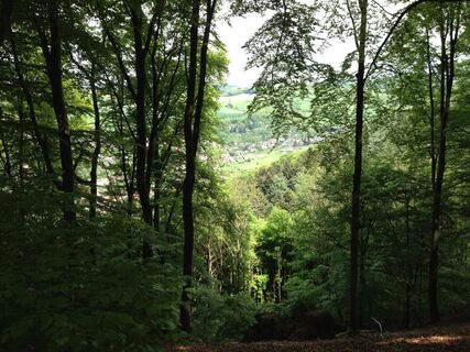 Hoch zum Totenkopf Blick nach Wolfstein