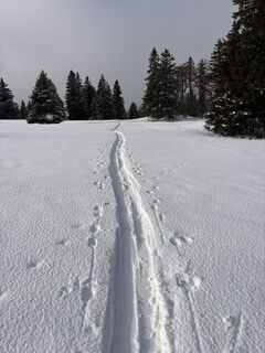 Foto von Nikolas von Merveldt entlang der Tour