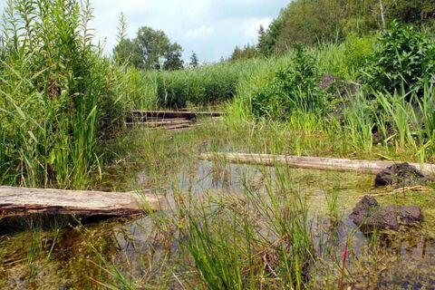 Naturschutz- &amp; Naherholungsgebiet Muckenbruch  Moorentnehme