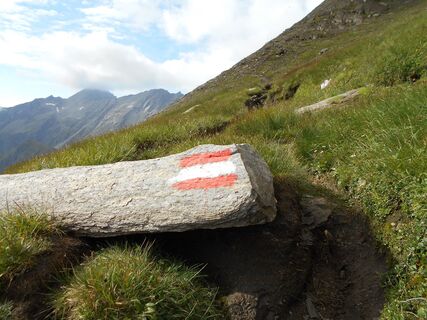 Hagener Hütte - Feldseescharte (Biwakschachtel) - Duisburger Hütte - Mölltaler Gletscher -