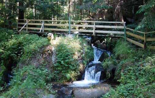 Loseneggerklamm am Kneippweg in St. Oswald