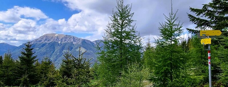 Am Weg zum Drahtekogel