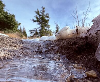 Photo de Dani Geiger / Natur_erleben_dg le long du parcours