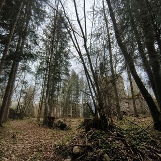 Fotografia z Sonja Enzenhofer na trase