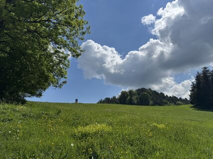 Foto de CarolineKlima a lo largo del recorrido