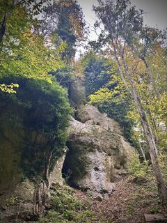 Photo de Kellner Heidi le long du parcours