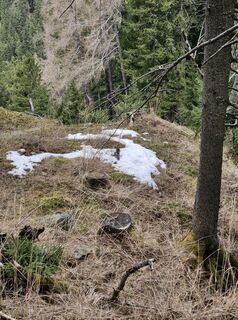 Fotografija s spletne strani Steinbrugger David na poti