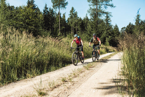 Kilometer für Kilometer im Gesäuse unterwegs
