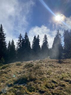 Fotografija s spletne strani Sven Krieblin na poti
