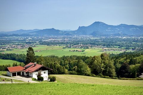 Photo de Helix le long du parcours