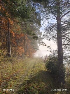 Foto von Fredi Oppel entlang der Tour
