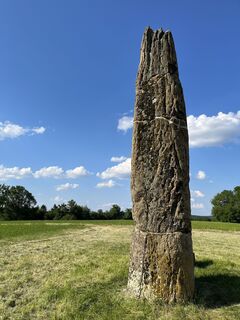 Photo de Guidog le long du parcours