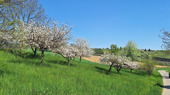 Foto de Susi Puhl a lo largo del recorrido