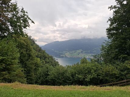 Photo de Michael Putz le long du parcours