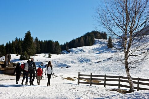 Vor der Alm