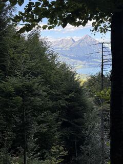 Fotografija s spletne strani Kurt Von  Kurt na poti