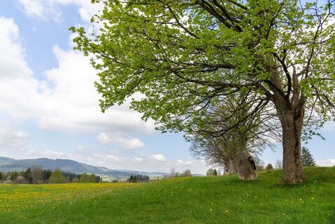 Viadukt und Schluchtentour