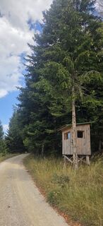 Fotografia z Darija Forgač na trase