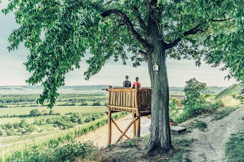 DSGVO_Z_Brackenheim_Zweifelberg_Aussicht_10_WEB